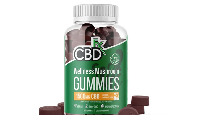 CBD Gummies With Mushrooms for 