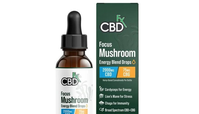Focus Blend Mushroom Tincture +