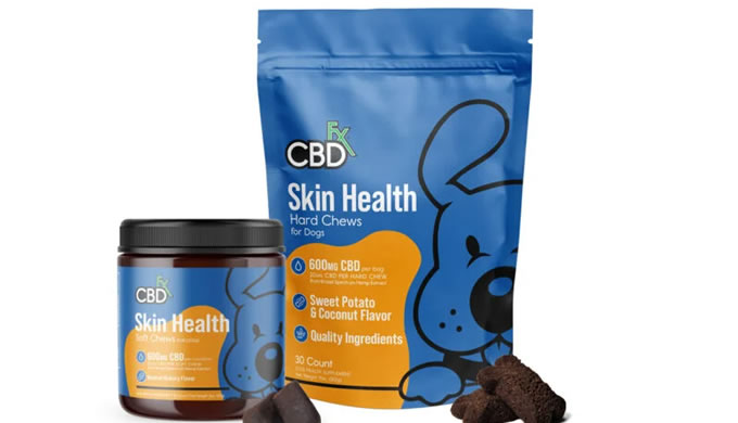 CBD Dog Treats: Skin Health Che