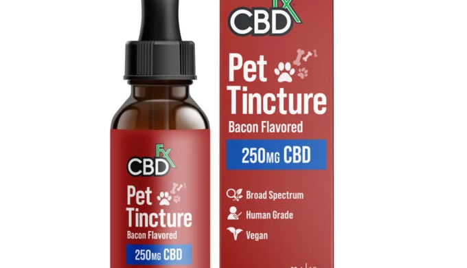 CBD Oil for Cats